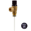 Reliance RWC 1/2" MBSP X 15mm CPT15 Pressure & Temperature Relief Valve PTEM540020-Advanced Water Company Ltd-Oceanair