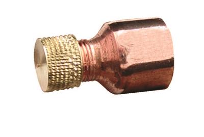 EFAVC 15.jpg